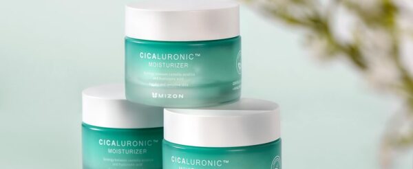 MIZON Cicaluronic Moisturizer Ultra Moisturizing & Soothing Cream (50 ml)